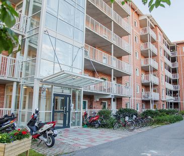 Aronsgatan 2, 94162, Piteå - Foto 5