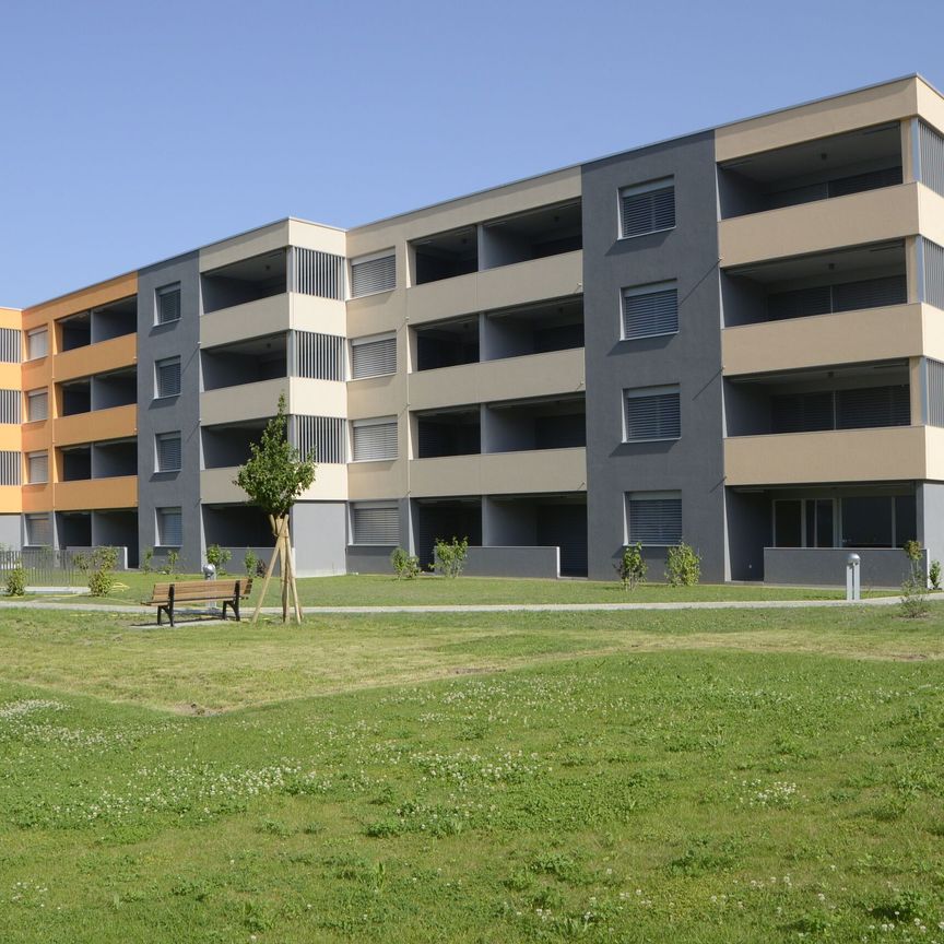 Votre nouveau logement de rêve ! - Foto 2