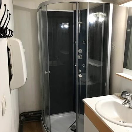 Location Appartement 1 pièce 25m² - Photo 3