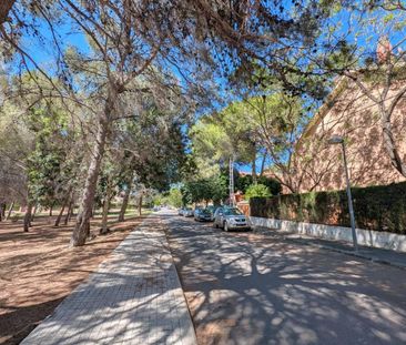 Casa o chalet de alquiler en La Cañada - Photo 5