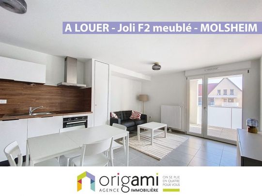 MOLSHEIM - Joli F2 meublé - Photo 1