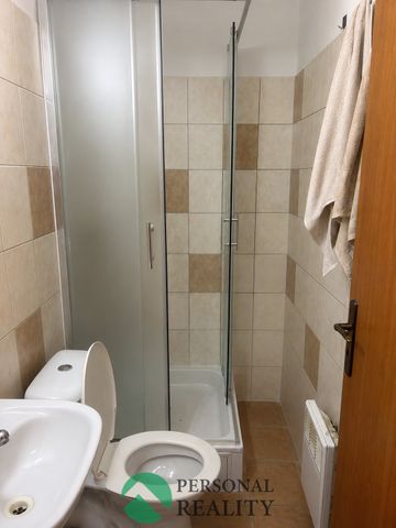 Pronájem bytu 1+kk a garsoniéry 25 m², Hlavní, Neratovice Mlékojedy - Photo 3