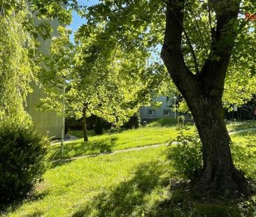 Bielsko-Biała, Górne Przedmieście Mieszkanie na wynajem - Zdjęcie 5
