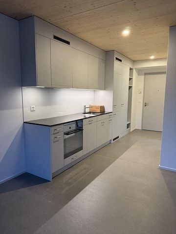 Moderner Wohnsitz in Schwamendingen - Photo 5