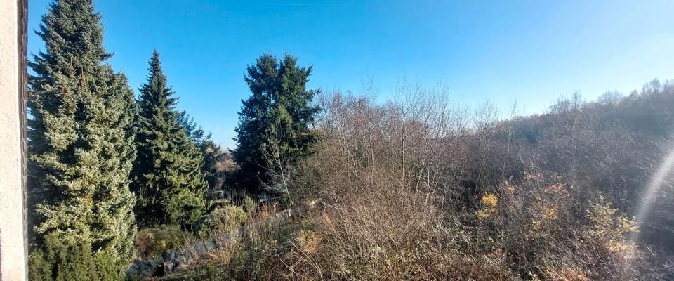 2-Zimmerwohnung, vollmöbliert für nur 1 Person - Foto 1