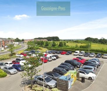 Beggarwood, RG22 - Photo 5