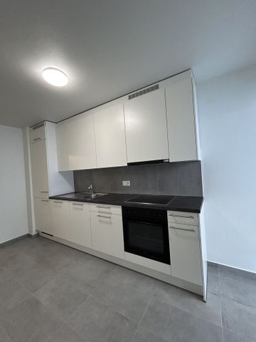 Appartement 4,5 pièces à louer - Photo 2