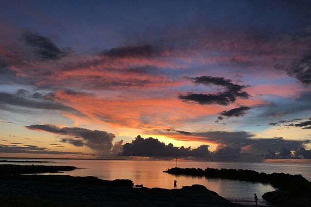 SUNSET DRIVE LIVING - Photo 1