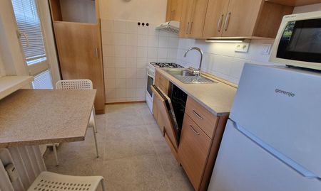 Slnečný a útulný 1-izbový byt s veľkou loggiou - Photo 2