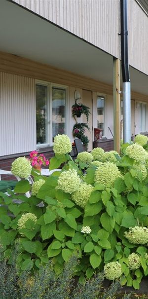 Kullgatan 51 lgh 1103 - Photo 1