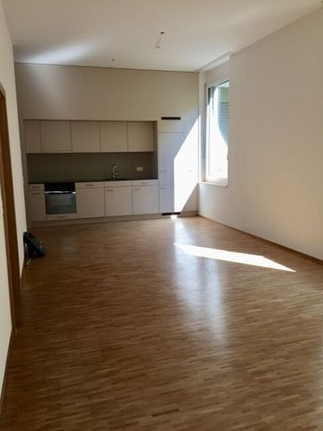 Exclusive 2.5-room apartment near Limmatplatz - Photo 3