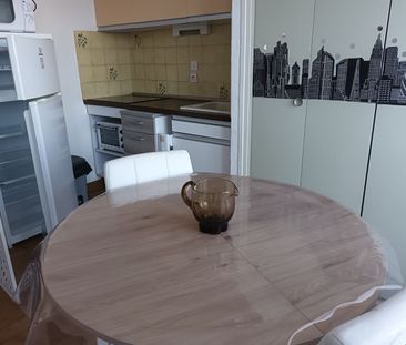 Location Appartement 1 pièce 22m² - Photo 6