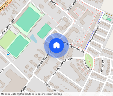 Josep Haydn Gasse 1d/1/16 - Foto 1