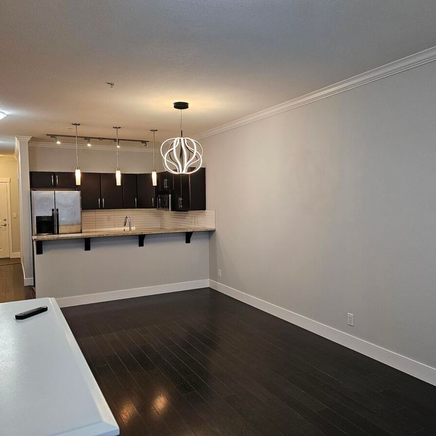 Historical Downtown Abbotsford - Photo 1