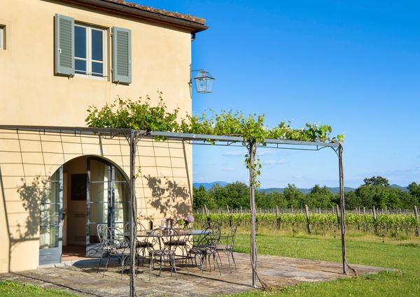 Villa Casetta encircled by Merlot vineyards