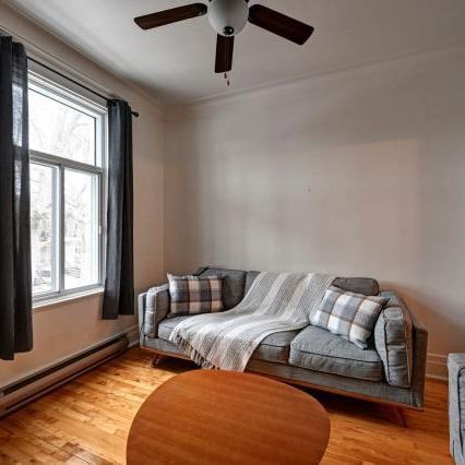 Beau 5½ lumineux au 2e étage – Rosemont / La Petite-Patrie - Photo 3