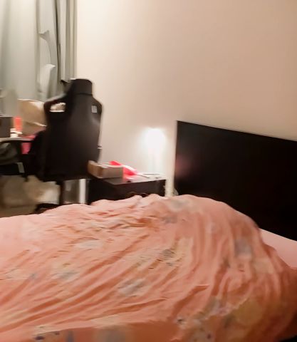 170Ross St, Sydney - Photo 5