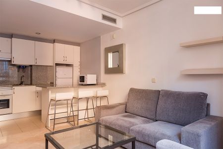 Apartamento en Azca Madrid para alquilar por meses - Photo 3