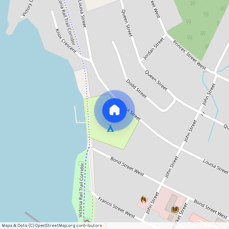 99 Louisa Street, Kawartha Lakes