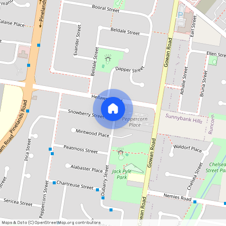 22 Snowberry Street, Qld 4109, Sunnybank Hills
