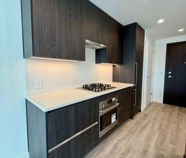 Brand New 1 Bdrm facing South w/ Lakeview at Water St by the Park - Photo 5
