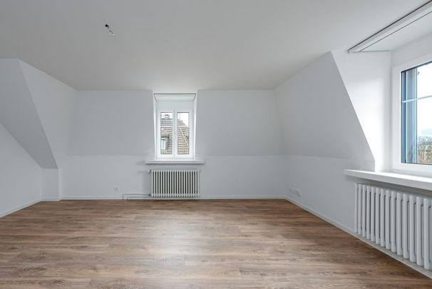 Ihr Wohntraum im Herzen von Zürich - Photo 1