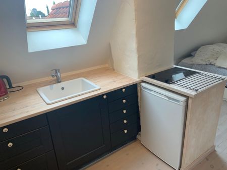 Carl Langes Vej, 2500 København, Danmark (208-1880-01-001) - Photo 4