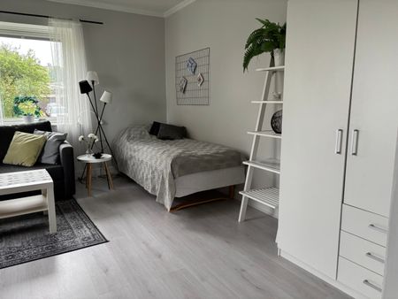 Ribbingsgatan, Borås - Photo 5