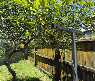 Single level family home in Pakuranga Height - Photo 3