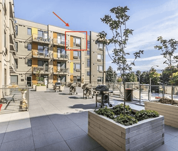 Avail. May.1st: Top Floor – Studio, Cambridge House - Photo 6