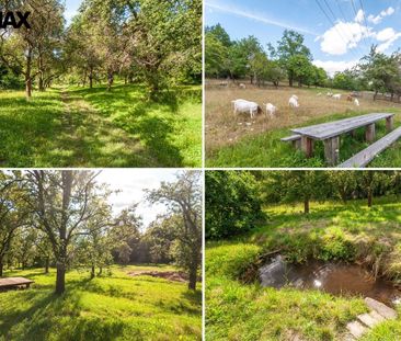 Pronájem bytu 2+1 v osobním vlastnictví 53 m², Praha 9 - Hloubětín - Photo 1