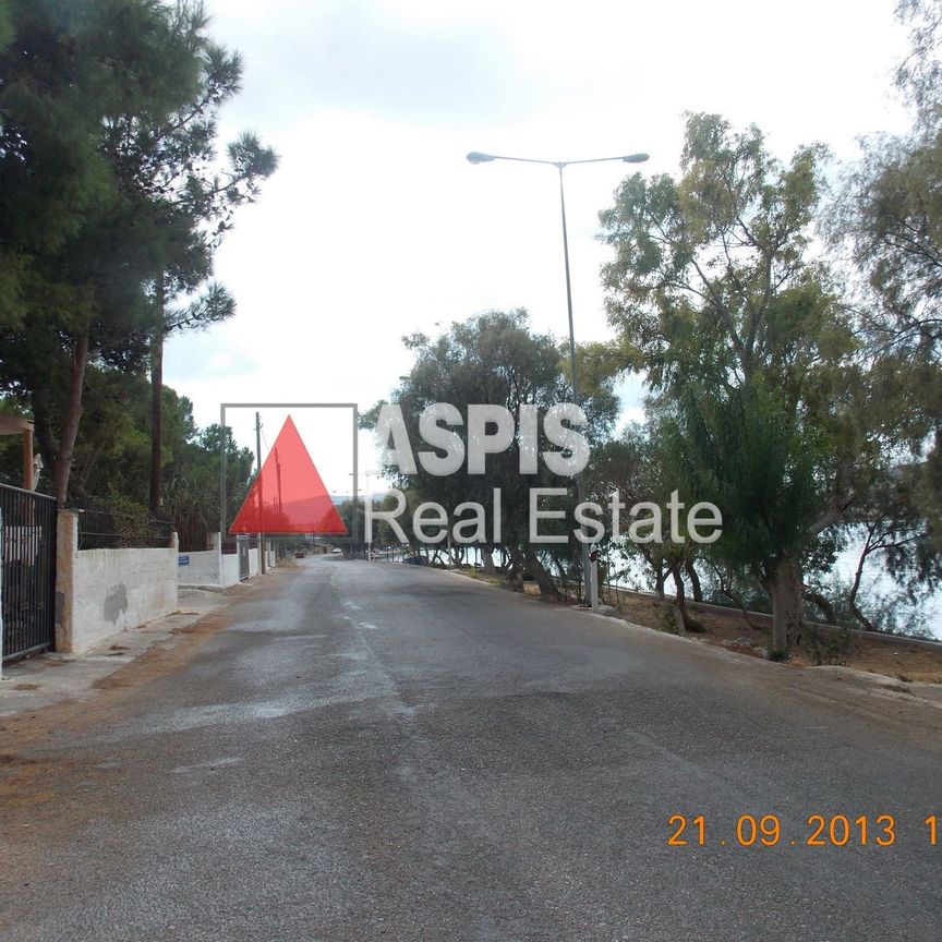 Μονοκατοικία για ενοικίαση Σαλαμίνα - Φωτογραφία 1