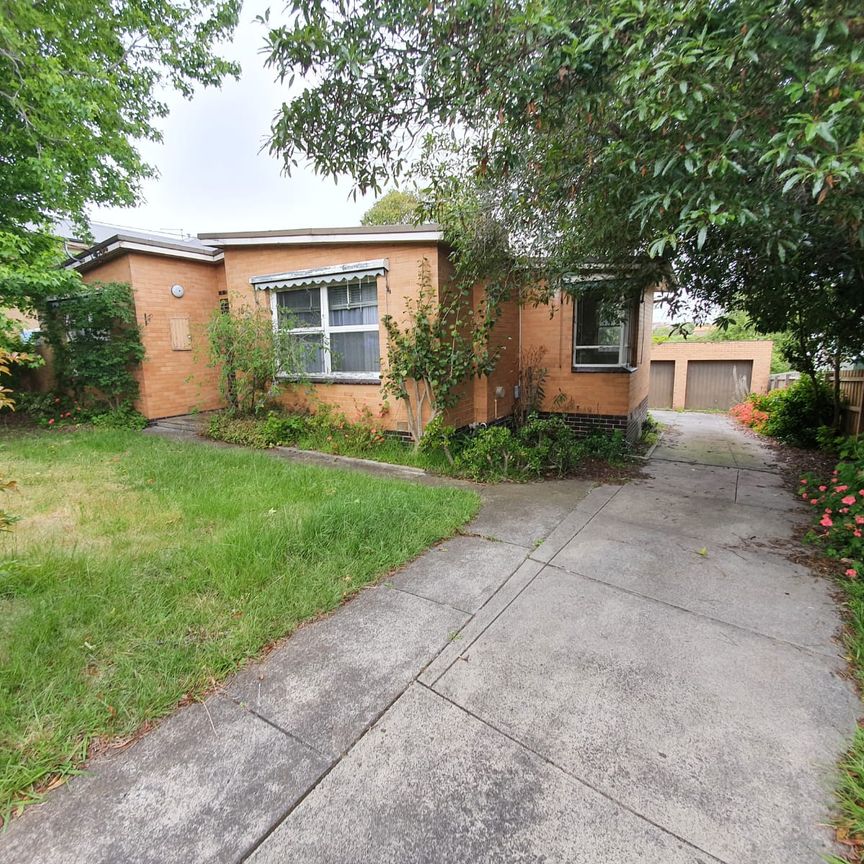 10 Evans Street, Chadstone VIC 3148 - House For Rent | Domain - Photo 1