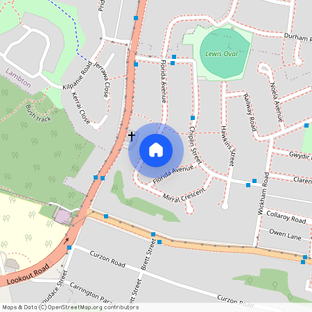 51 Florida Avenue, New Lambton NSW 2305