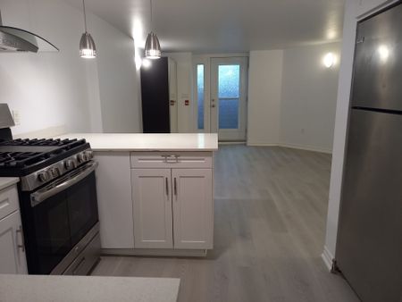 For Lease - 129 Walmer Road Unit# Lower, Toronto, Ontario - Photo 5