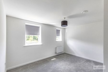 Pumpkin close - Photo 5