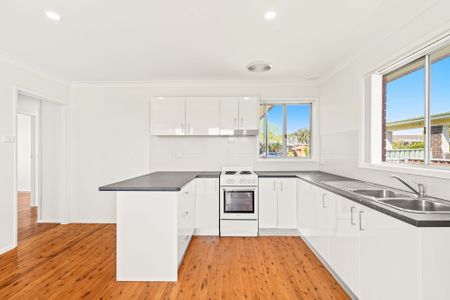 Bright & Spacious Family Home in Prime Colyton Location! - Photo 3