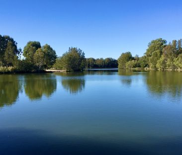 17A Tussock Crescent, Elanora QLD 4221 - House For Rent - $490 | Do... - Photo 1