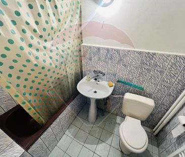 Apartament cu 1 cameră de închiriat - Fotografie 3