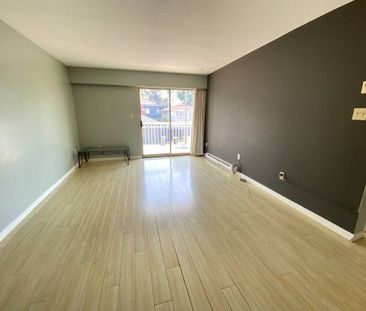 1 bedroom suite in the heart of Main/Fraser corridor East Vancouver - Photo 3