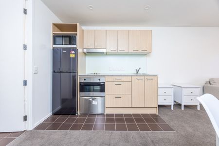 Sun-filled Apartment - Photo 4