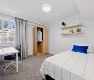 Dual Living 02 - Photo 2