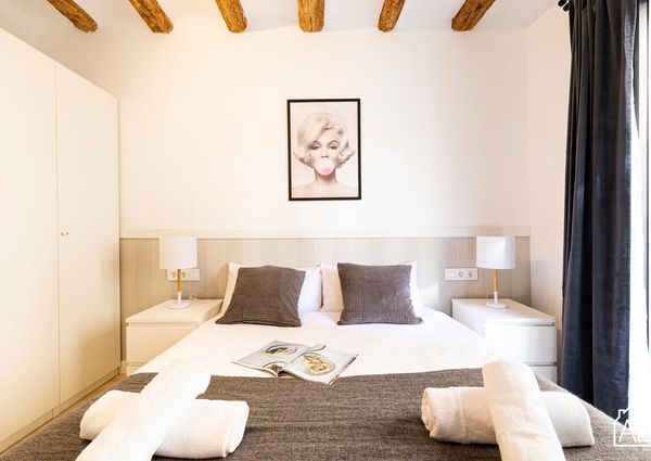 Elegant Two Bedroom Apartment in Poblenou