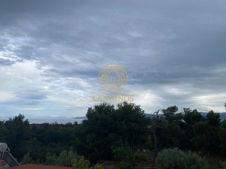 Διαμέρισμα για ενοικίαση Μαλακώντα (Ερέτρια) - Photo 2