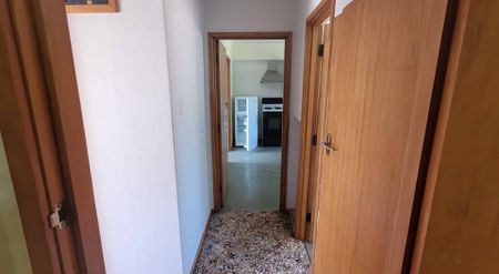 Hey hey its Albert! - Photo 5