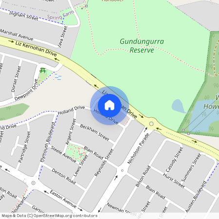 12 Facey Lane, NSW 2570, Spring Farm