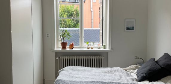 Östervärnsgatan, Malmö - Foto 2