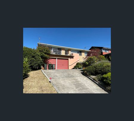 41 Parramore St, Rosetta, Tas 7010 - Photo 3