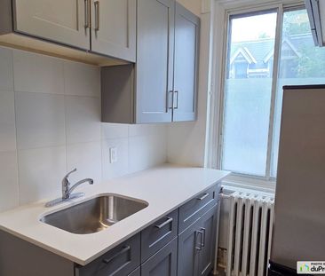 20-251, Milton, Ville-Marie (Centre-Ville et Vieux-Montréal) à louer - Photo 2