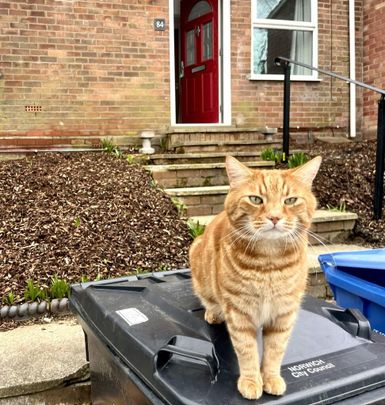 1 bedroom in a house share to rent - Photo 1